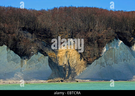 Vue depuis la mer à la côte escarpée avec la célèbre des falaises de craie et un lieu d'érosion dans elle, en Allemagne, en Mecklembourg-Poméranie-Occidentale, le Parc National de Jasmund, Ruegen Banque D'Images