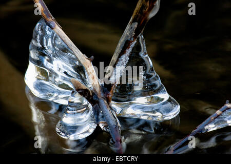 À icicle Creek, l'Allemagne, Rhénanie-Palatinat Banque D'Images