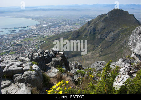 Vue depuis la montagne de la table au-dessus de la ville, Afrique du Sud, Western Cape, Cape Town Banque D'Images