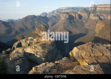 La célèbre tour rocks 'l'arbre' dans la Rondavels Blyde River Canyon, Afrique du Sud, Mpumalanga, Panorama Route, Graskop Banque D'Images