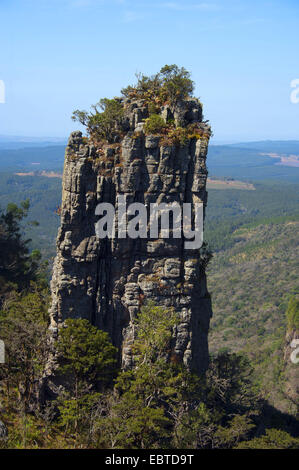 Rock 'Pinnacle' l'aiguille dans le Blyde River Canyon, Afrique du Sud, Mpumalanga, Panorama Route, Graskop Banque D'Images