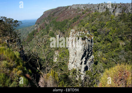 Rock 'Pinnacle' l'aiguille dans le Blyde River Canyon, Afrique du Sud, Mpumalanga, Panorama Route, Graskop Banque D'Images