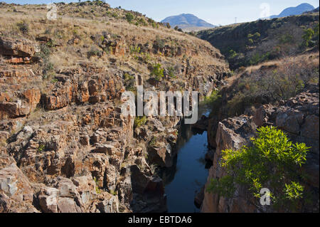 Vue panoramique sur le Blyde River Canyon, Afrique du Sud, Mpumalanga, Panorama Route, Graskop Banque D'Images