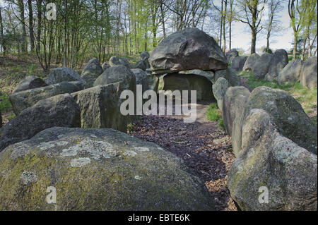 Tombe mégalithique 'Glaner Braut' à partir de l'âge néolithique, ALLEMAGNE, Basse-Saxe, Wildeshausener Geest, Doetlingen Banque D'Images