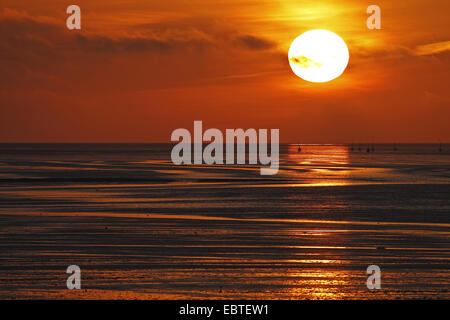 Le lever du soleil sur la mer du Nord, Pays-Bas, Texel, Oost Banque D'Images