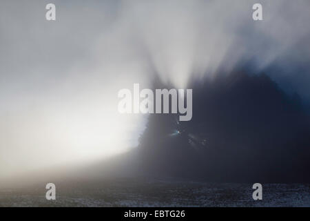 Mostelberg misty dans humeur, Suisse, canton de Schwyz Banque D'Images