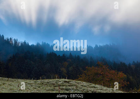 Mostelberg misty dans humeur, Suisse, canton de Schwyz Banque D'Images