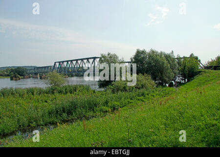 Pont de chemin de fer fermée en vue de la rivière Oder, Pologne, Allemagne, Brandenburg, Oderaue Banque D'Images