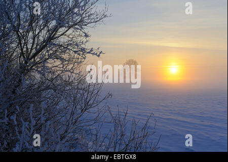 Coucher du soleil au bord de la lande couverte de neige, en Allemagne, en Basse-Saxe, Boller Moor, Vechta Banque D'Images