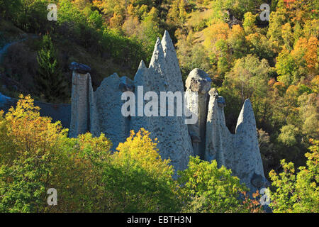 Of Euseigne Pyramides de forêt d'automne, en Suisse, Valais, Eringer Tal Banque D'Images