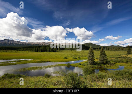 Vue sur les montagnes, de collines et de régions sauvages de l'Alberta, Canada. Banque D'Images