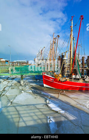 Icy port avec bateaux de crevettes, de l'ALLEMAGNE, Basse-Saxe, Fedderwardersiel Banque D'Images