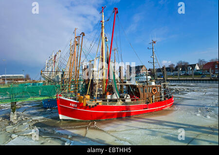 Icy port avec bateaux de crevettes, de l'ALLEMAGNE, Basse-Saxe, Fedderwardersiel Banque D'Images