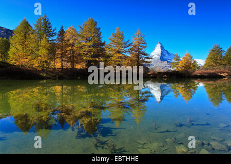 Lake Grindji et Cervin en automne, la Suisse, Valais Banque D'Images