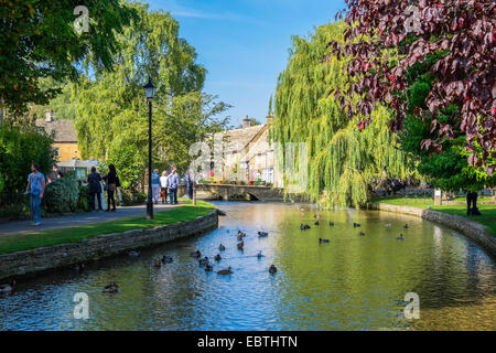 Rivière Windrush Bourton-on-the-Water village des Cotswolds Gloucestershire Banque D'Images