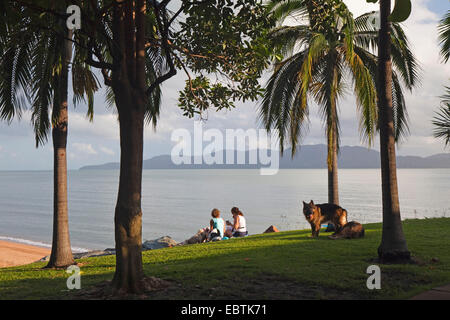 Le Strand, l'Australie, Queensland, Townsville Banque D'Images