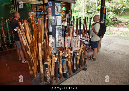 Didgeridoo Shop de Kuranda Rainforest Origine Australie, Queensland, Marchés Banque D'Images