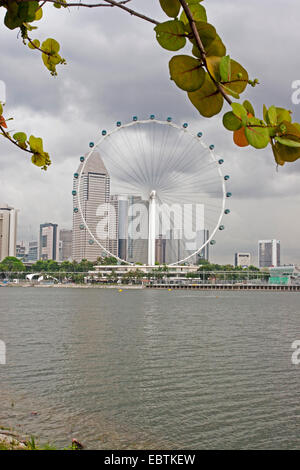 La ville de Singapour et la grande roue de Marina Bay Gardens. Banque D'Images