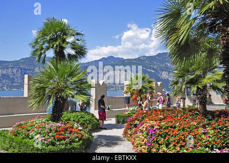 Parc sur le lac, l'Italie, le lac de Garde, Lombardie, Malcesine Banque D'Images