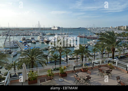 Vue depuis une terrasse sur le toit sur le Passeig Maritim au yacht harbour, Espagne, Baléares, Majorque, Palma de Mallorca Banque D'Images