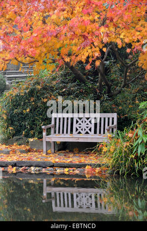 Banc de parc à un étang à l'automne, Allemagne Banque D'Images