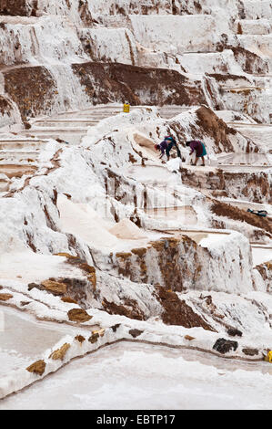 La collecte des travailleurs de sel dans le marais salants Salinas de Maras, Pérou, Maras Banque D'Images