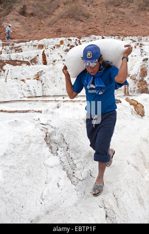 Le transport des travailleurs au sel les marais salants Salinas de Maras, Pérou, Maras Banque D'Images
