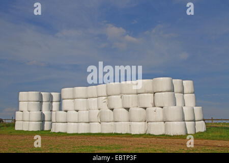 Balle d'ensilage sur un champ de chaume, Allemagne, Rhénanie du Nord-Westphalie Banque D'Images