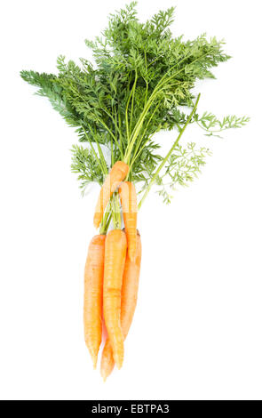 Légumes Carottes avec feuilles isolées sur fond blanc dentelle Banque D'Images