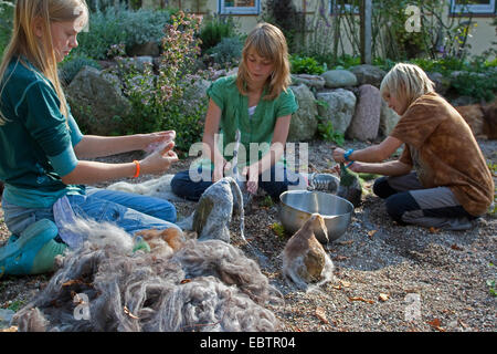 'Avis des trolls de pierre servant de décoration de jardin : trois enfants bouchons de laine feutrée humidifié sur pierres naturelles, Allemagne Banque D'Images