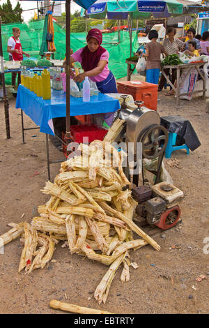 La canne à sucre (Saccharum officinarum), chaudière pour la canne à sucre sur un marché, de la Thaïlande, Phuket Banque D'Images