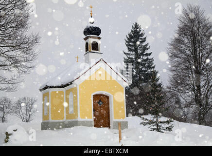 Chapelle avec arbre de Noël neige, Allemagne, Bavière, Oberbayern, Haute-Bavière Banque D'Images