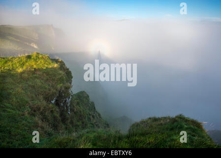 Matin magique de brume et de nuages bas dans la vallée de l'espoir. Brocken spectre dans la brume. Banque D'Images