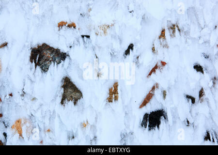 Des congères, Royaume-Uni, Ecosse, le Parc National de Cairngorms Banque D'Images