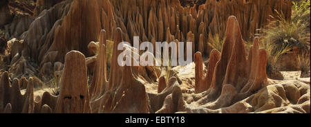 Formation de calcaire karstique rouge, Madagascar, le parc national Tsingy de Bemaraha, Tsingy Banque D'Images