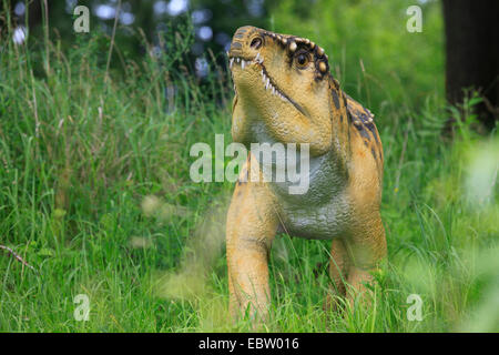 Oiseau crocodile (Ornithosuchus), dinosaure primitif Banque D'Images