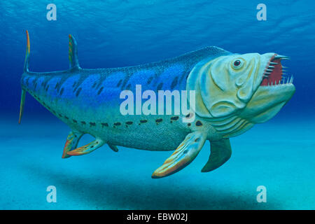 Sword-ray (Xiphactinus), sous l'eau Banque D'Images