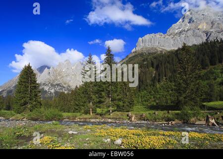 Vue d'une vallée avec un ruisseau à la gamme de montagne 'Engelhoerner', la Suisse, l'Oberland bernois Banque D'Images