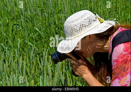 Jeune femme à prendre des photos de blé, de l'Allemagne, Schleswig-Holstein Banque D'Images