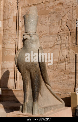 Statue d'Horus à Edfou, le Temple d'Edfou, Egypte Banque D'Images