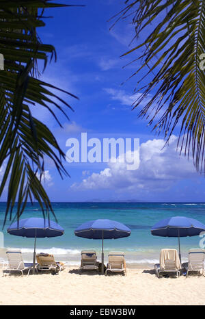 Des parasols sur une plage, Saint Martin Banque D'Images