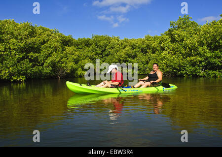 La mangrove en kayak de lac Bay, Bonaire Banque D'Images