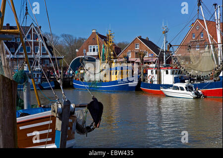 Bateaux de crevettes dans le port, l'ALLEMAGNE, Basse-Saxe, Neuharlingersiel Banque D'Images