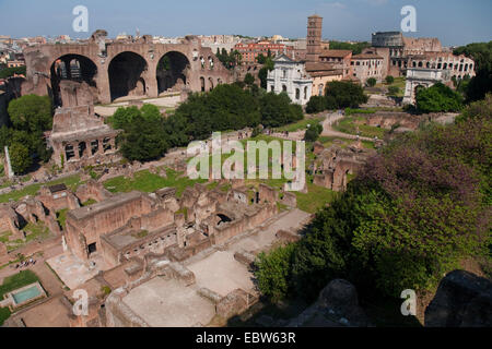 Vue depuis le Mont palatin de Forum Romain , Italie, Rome Banque D'Images