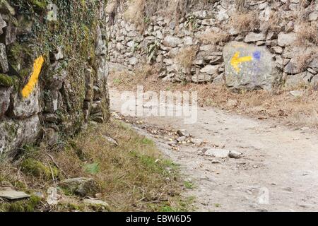 Flèches jaunes du Chemin de Saint Jacques dans un village, l'Espagne, la Galice, Lugo, Lavandeira Banque D'Images