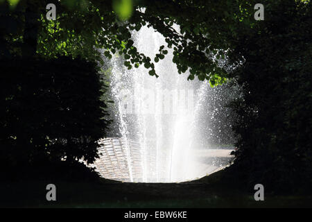 Fontaine en Luisenpark Mannheim, Allemagne, Mannheim Banque D'Images