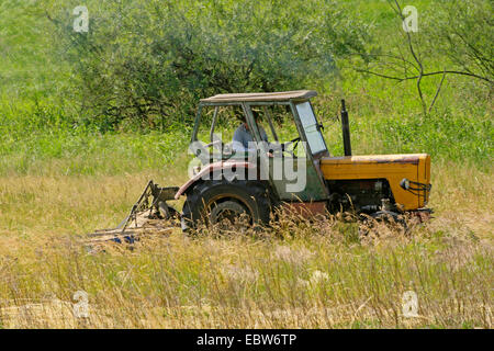 Old polish tractor cutting pré, la Pologne, la Poméranie occidentale, Gozdowice Banque D'Images