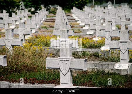 Cimetière de guerre avec l'armée polonaise 2000 tombes du soldat, Pologne, Occidentale, Siekierki Banque D'Images