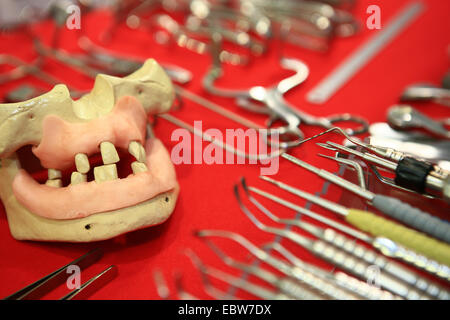 Outils de dentiste et le modèle d'un ensemble de dents sur une foire commerciale Banque D'Images