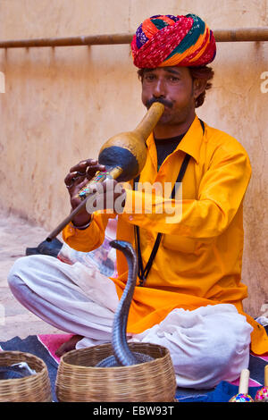 Cobra commun, Indienne (Naja naja), les charmeurs de serpent , Inde Banque D'Images